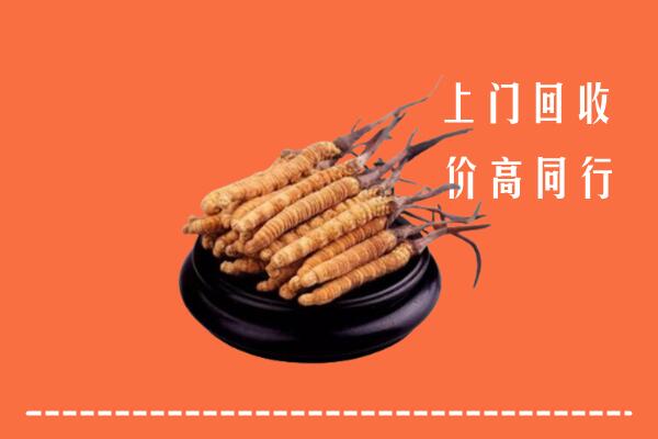 高价求购：北京西城区回收散虫草