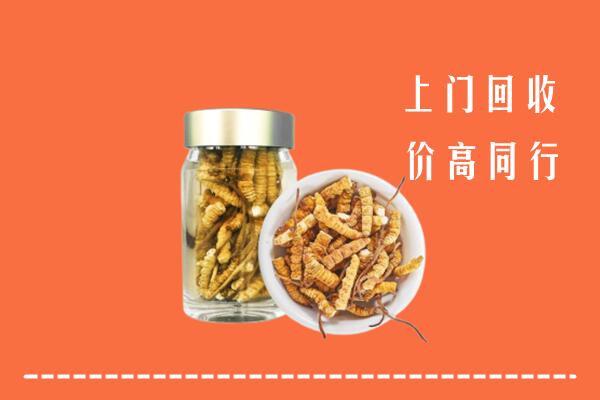 北京西城区回收冬虫夏草